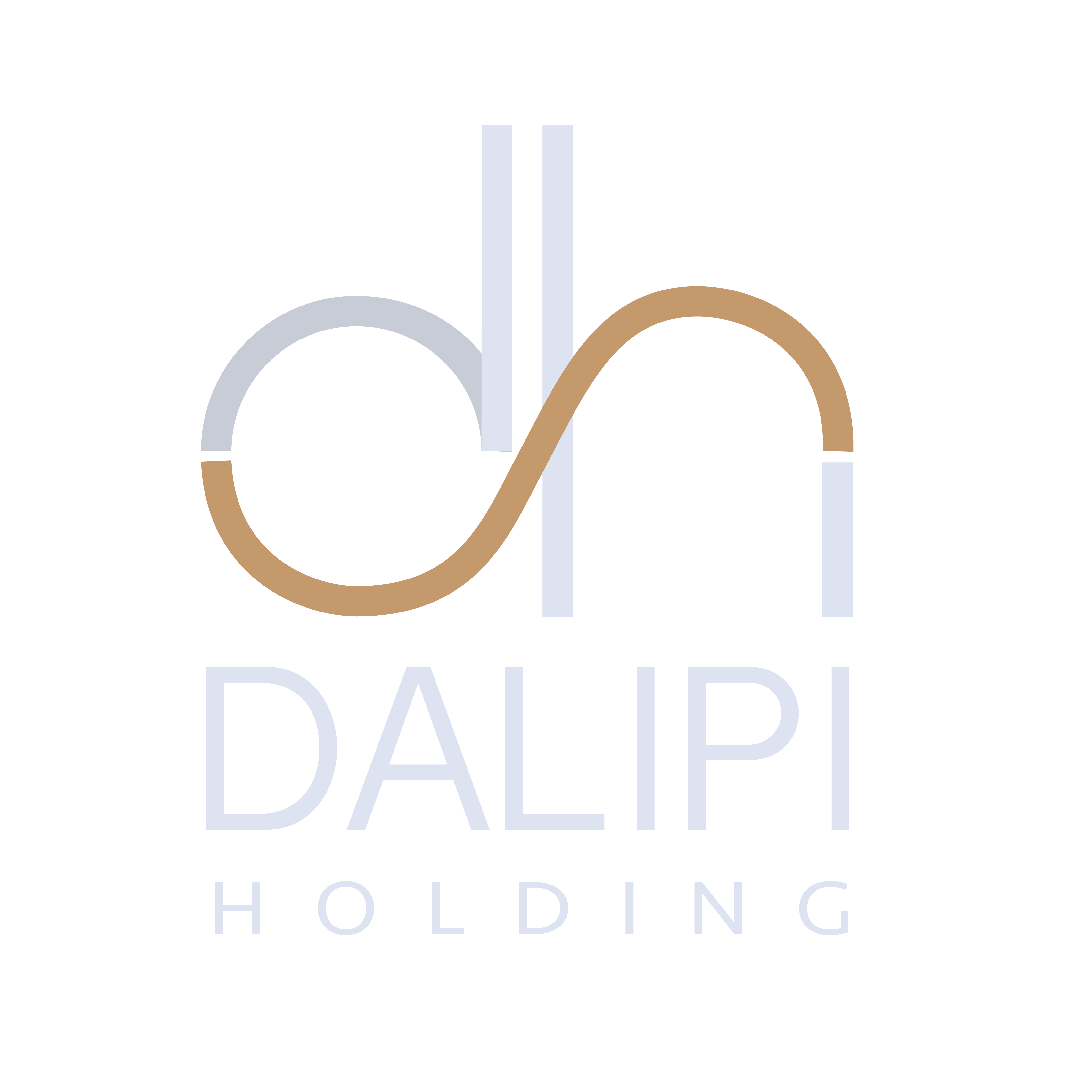 Dalipi Holding